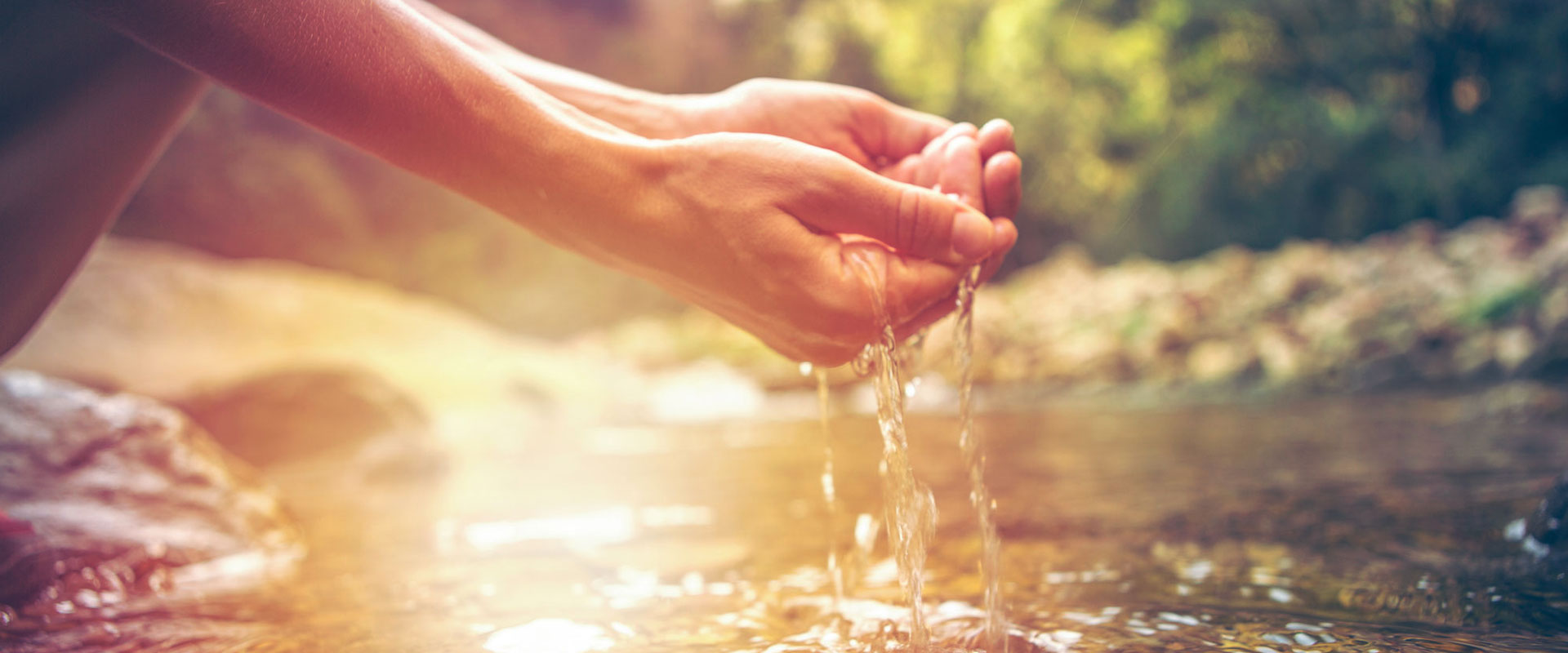 Health = Ecological Hygiene.